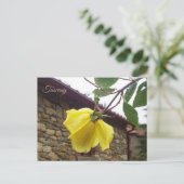 Geel nat roos. Toscane, Italië Briefkaart (Staand voorkant)