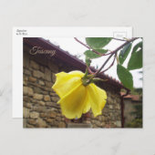 Geel nat roos. Toscane, Italië Briefkaart (Voorkant / Achterkant)