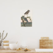  geel Night-heron Poster Print (Keuken)