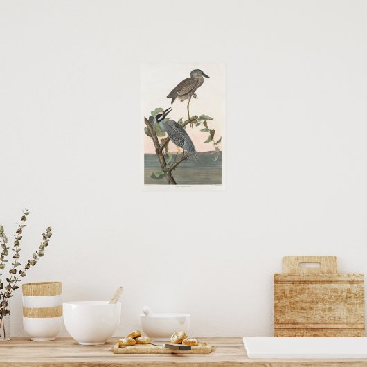  geel Night-heron Poster Print (Keuken)