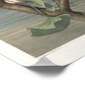  geel Night-heron Poster Print (Hoek)