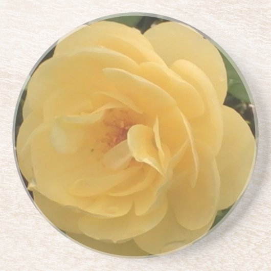 Geel Onderzetter van Camellia (Voorkant)
