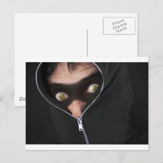 Geel-oogige bandit briefkaart (Voorkant / Achterkant)