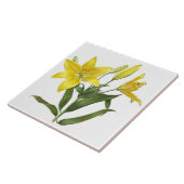 Geel Oosterse Lelie Bloemen Botanische Kunst Tegeltje (Zijkant)