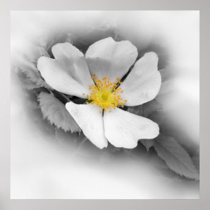 geel op grijze tinten poster