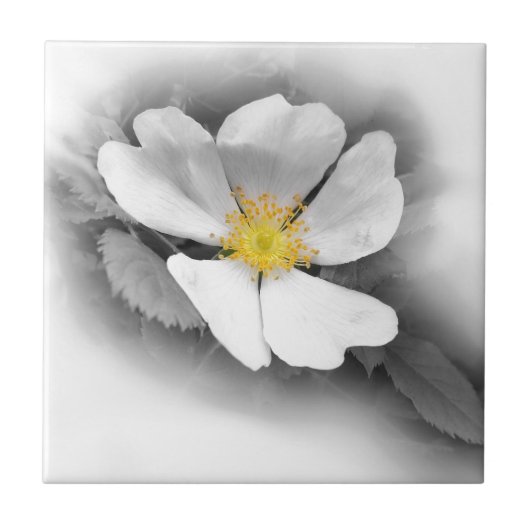 geel op grijze tinten tegeltje (Voorkant)