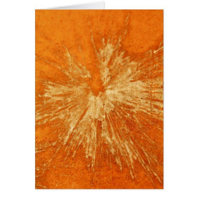 Geel op Oranje Paintball (Voorkant)