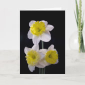 Geel op witte narcis Moederdag Kaart (Voorkant)