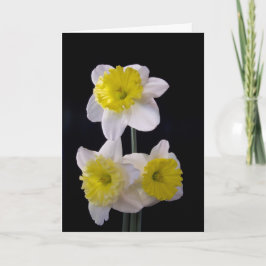 Geel op witte narcis Moederdag Kaart