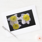 Geel op witte narcis rechthoekige sticker (Envelop)