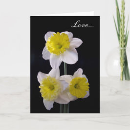 Geel op witte narcis Valentijns Feestdagen Kaart