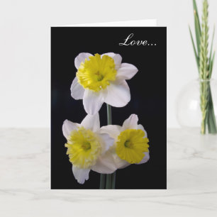 Geel op witte narcis Valentijns Feestdagen Kaart