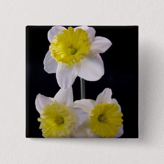 Geel op witte narcis vierkante button 5,1 cm (Voorkant)