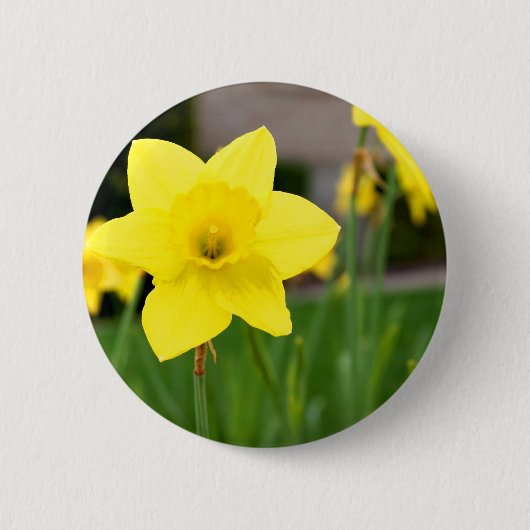 Geel opgeruimd ronde button 5,7 cm (Voorkant)