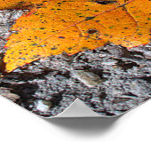 Geel-oranje blad foto poster (Hoek)