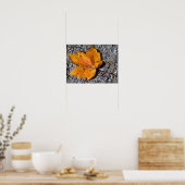 Geel-oranje blad foto poster (Keuken)