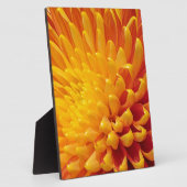 Geel & Oranje Chrysanthemum Fotoplaat (Zijkant)