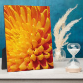 Geel & Oranje Chrysanthemum Fotoplaat (Zijkant)