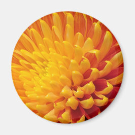 Geel & Oranje Chrysanthemum Magneet