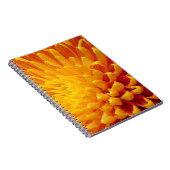 Geel & Oranje Chrysanthemum Notitieboek (Rechterzijde)
