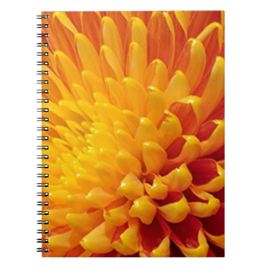 Geel & Oranje Chrysanthemum Notitieboek (Voorkant)