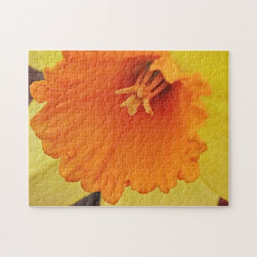 Geel Oranje Daffodil Flower Spring Puzzle Legpuzzel (Horizontaal)