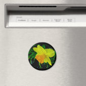 Geel Oranje Daffodil Magnet (Insitu (Vaatwasser))