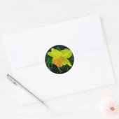 Geel Oranje Daffodil Stickers (Envelop)