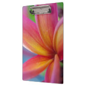 Geel Oranje Deep Pink Tropische Plumeria Flower Klembord (Links)