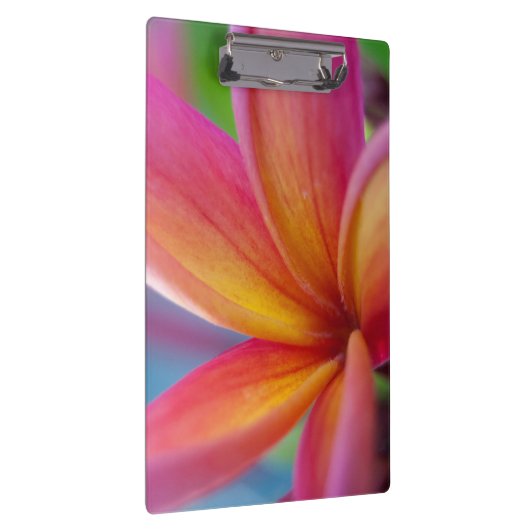Geel Oranje Deep Pink Tropische Plumeria Flower Klembord (Rechts)