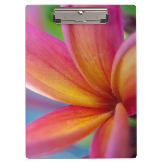 Geel Oranje Deep Pink Tropische Plumeria Flower Klembord (Voorkant)