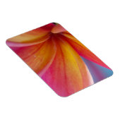 Geel Oranje Deep Pink Tropische Plumeria Flower Magneet (Rechterzijde)