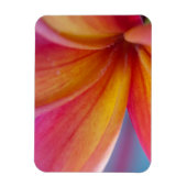 Geel Oranje Deep Pink Tropische Plumeria Flower Magneet (Verticaal)