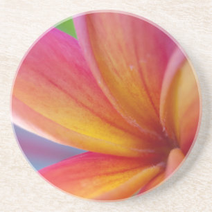 Geel Oranje Deep Pink Tropische Plumeria Flower Zandsteen Onderzetter