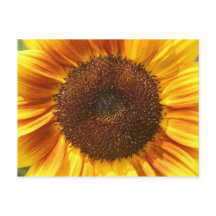 Geel, Oranje en bruin Briefkaart