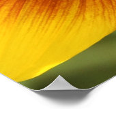 Geel, Oranje en bruin Poster van zonnebloemen (Hoek)