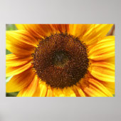 Geel, Oranje en bruin Poster van zonnebloemen (Voorkant)