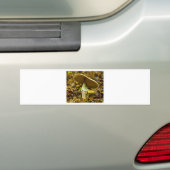 Geel-oranje Fly Agaric Bumpersticker (Op auto)