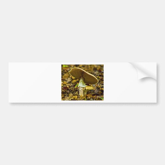 Geel-oranje Fly Agaric Bumpersticker (Voorkant)