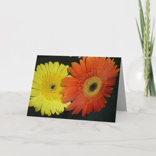 Geel & Oranje madeliefje Gerber Kaart (Voorkant)
