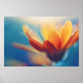 Geel Oranje marigoldventiel op blauw Poster