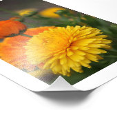 Geel Oranje Mums Foto Afdruk (Hoek)