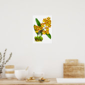 geel Oranje orchidee ventiel - Poster (Keuken)