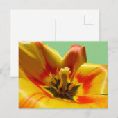 Geel Oranje Tulip DIY Briefkaart (Voorkant / Achterkant)