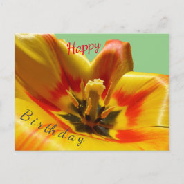 Geel Oranje Tulp Gelukkige Verjaardag Ansichtkaart Briefkaart