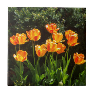 Geel Oranje Tulptegels Tegeltje