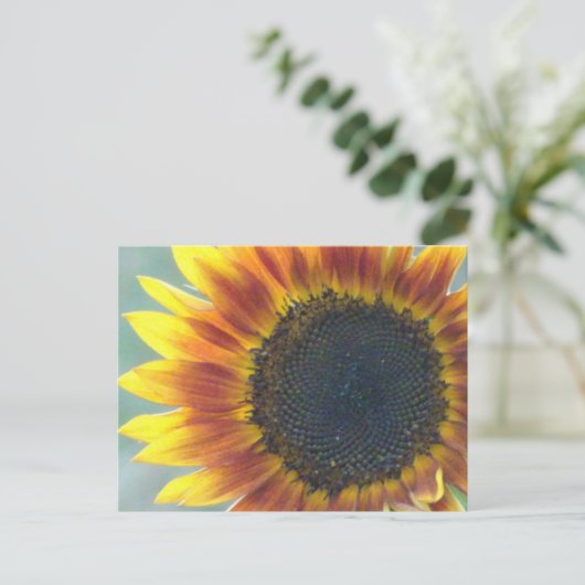 Geel Oranje Zonnebloemig Briefkaart (Staand voorkant)