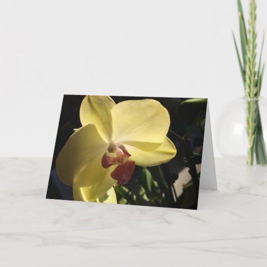 Geel orchidee blanco binnenin Wenskaart Kaart (Voorkant)