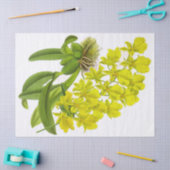  geel orchidee bloemenpapier tissuepapier (Craft)