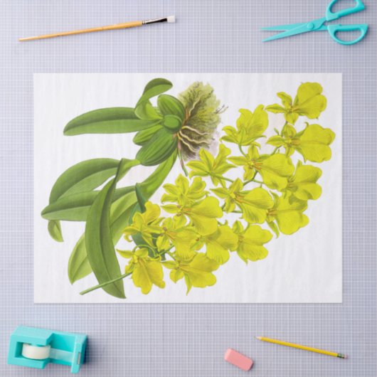 geel orchidee bloemenpapier tissuepapier (Craft)
